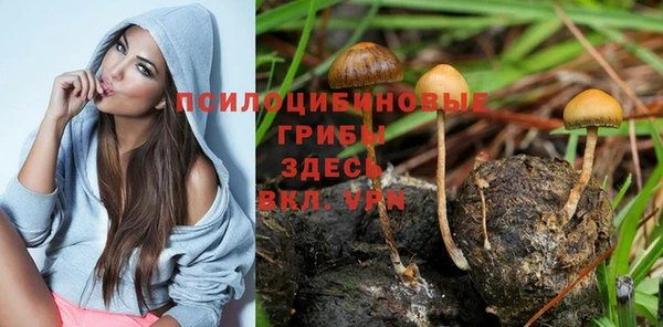 марки lsd Абинск