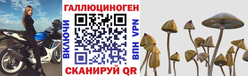 Псилоцибиновые грибы Psilocybe  Аксай 